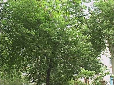 У природы нет плохой погоды