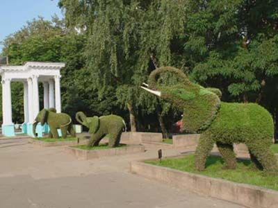 По Орлу поплывет топиарный корабль