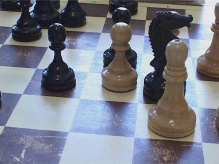 Шахматисты