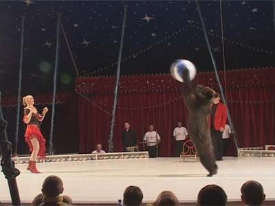 И снова цирк Романа Коробко в Орле!