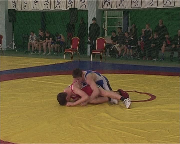 Чемпионат области по греко-римской борьбе