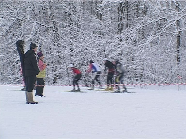 Лыжные гонки в Медведевском лесу