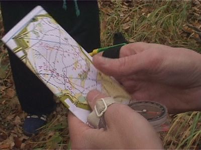 Чемпионат области по спортивному ориентированию