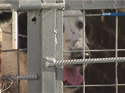 Акция «Народная новость» подводит итоги