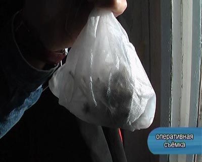 Задержаны наркопреступники