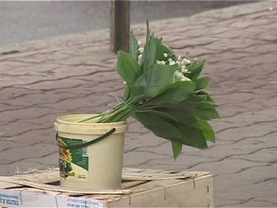 Светлого мая привет...