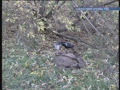 Обнаружено тело младенца