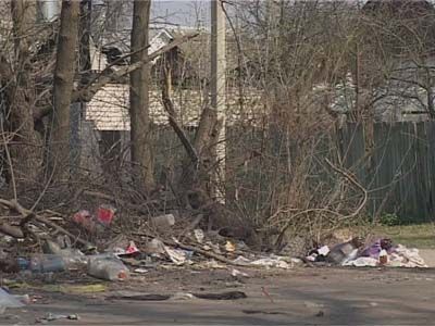 Выявили самый чистый район