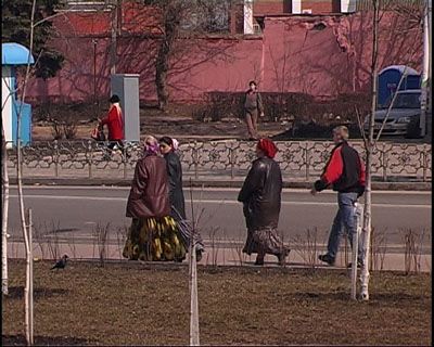 Охота на стариков