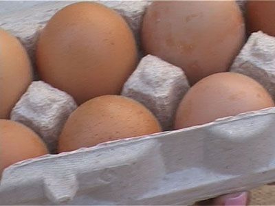 Как доказать, что продукт испорчен?