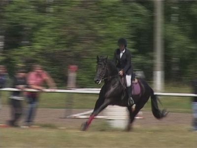 Конный спорт