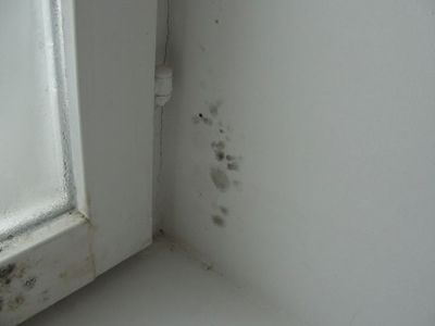 Кот в мешке