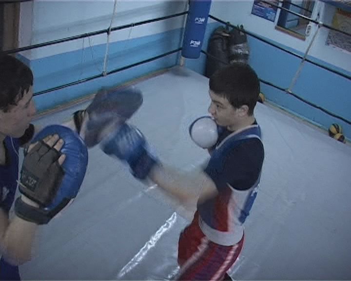 бокс в орле, спорт в орле