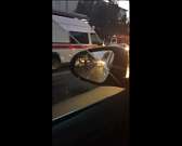 Орловчане выложили в соцсети видео с места аварии с участием экипажа ДПС Орловчане выложили в соцсети видео с места аварии с участием экипажа ДПС