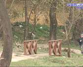 288 дней из 365: Орловский кикбоксер запустил годовой марафона бега