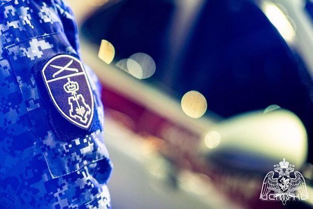 В Орле росгвардейцы задержали мужчину, подозреваемого в попытках поджогов нескольких машин 