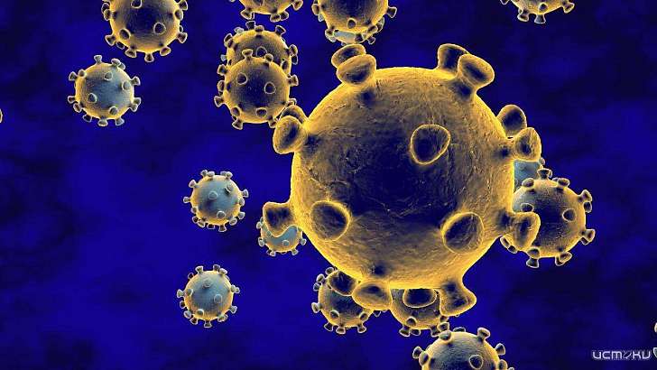 В Орловской области снизились темпы прироста заболевших COVID-19