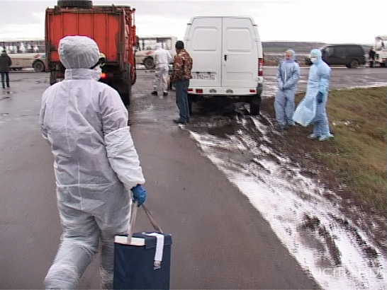 Африканская чума свиней или как проводились учения в Кромском районе 