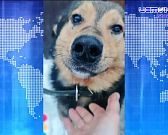 Оттепель и снег с дождем: синоптики рассказали о погоде в Орле