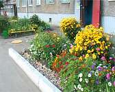 Новости за 90 секунд: онкобольных на Орловщине больше, чем в других регионах, дата проведения выпускных вечеров уже известна