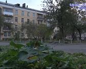 Еще один проблемный дом