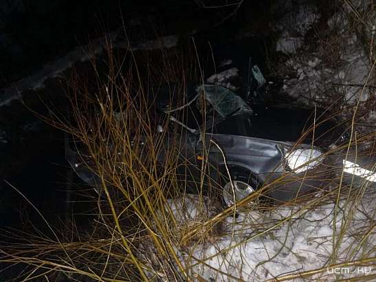 На Орловщине «Лада» угодила в кювет