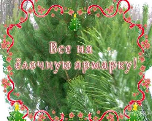 Ну какой же Новый Год без ёлочки? Все на ёлочную ярмарку!