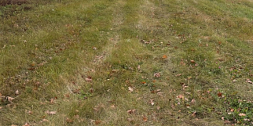 1-ю зам. главы администрации Орловского муниципального округа отправили под арест