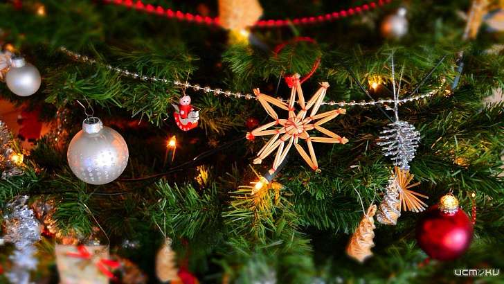 «Елка желаний»: орловчане могут примерить на себя роль волшебника