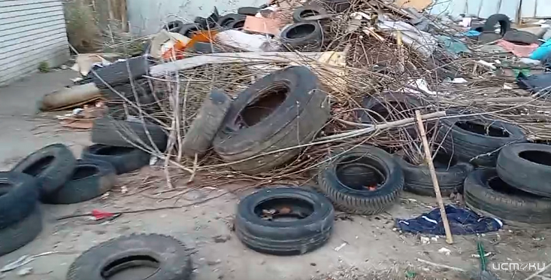 Результаты субботника продемонстрировала жительница деревни Жилина Орловского МО