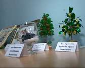 "Творчество без границ" людей с ограниченными возможностями