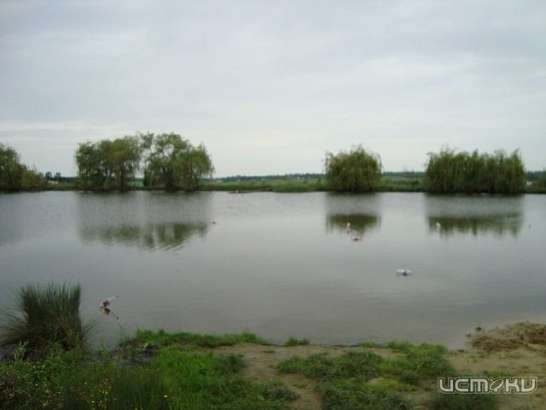 Жительница Глазуновского района спасла жизнь пятилетнему мальчику