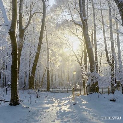 Погода на выходных в Орловской области будет переменчивой 
