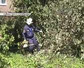 Новости за 90 секунд: последствия урагана в Орле, еще один завод может обанкротиться и флешмоб орловских гаишников