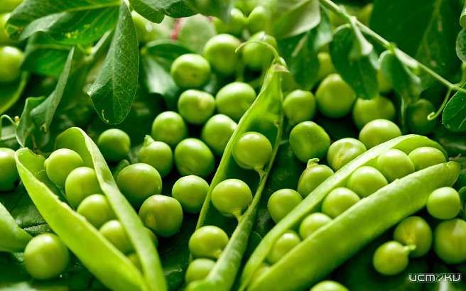 В Орле не пропустили машину с семенами гороха из Австрии