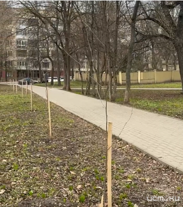 Тему зеленых насаждений в городе подняла мэрия Орла в своем посте про благоустройство