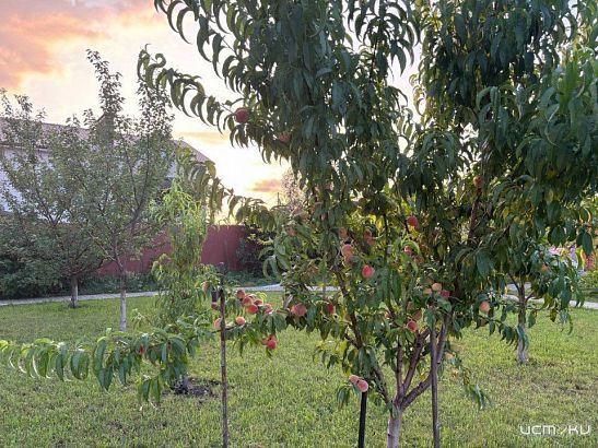 Специалисты Роскадастра по Орловской области рассказывают, что является нарушением земельного законодательства Специалисты Роскадастра по Орловской области рассказывают, что является нарушением земельного законодательства