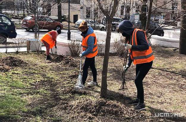 Гаврилина рассказала, в чем плюсы общественных оплачиваемых работ для безработного