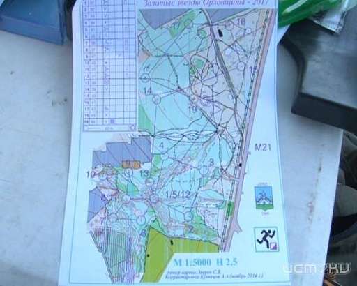 В Орле завершились соревнования по спортивному ориентированию