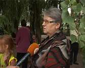 Чьё же оно, собачье дело? Жители микрорайона VS бродячие псы