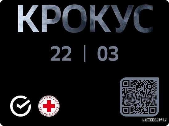 Более 360 млн рублей собрано за выходные на благотворительный счёт Сбера