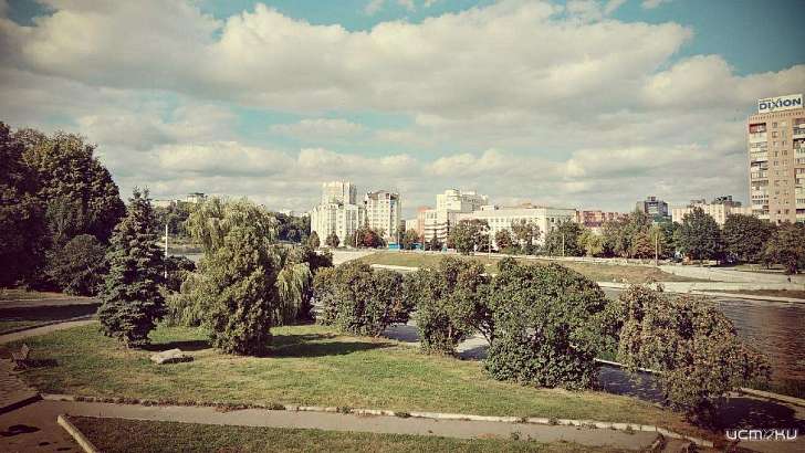 Последний день лета запомнится орловчанам солнечной и жаркой погодой 