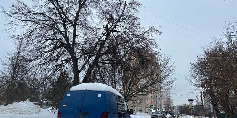 "Если бы еще раз в городе прошел снежный заряд, то город окончательно бы и бесповоротно встал"