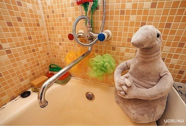 Часть Орла вновь останется без горячей воды 