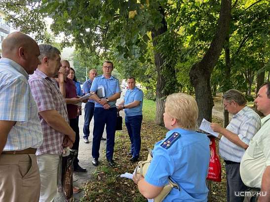 Прокуратура заинтересовалась планами чиновников вырубить более 60 деревьев на ул. Пионерской