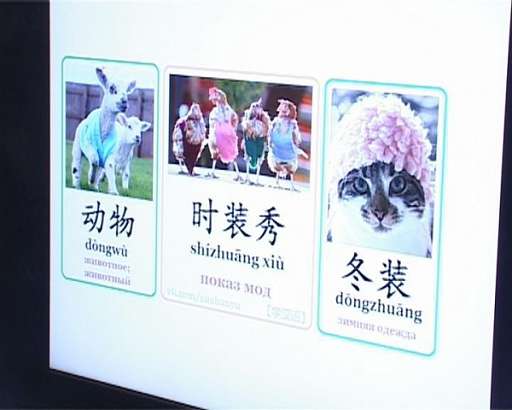 Чтобы рассказать о своей родине с орловскими школьниками встретились студентки из Китая 