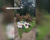 20-летнего парня объявили в розыск за тяжкое преступление, а воскресный ливень стал причиной потопа на орловских дорогах. Новости за 90 секунд