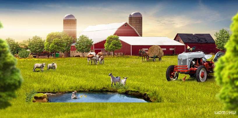 Орловчан приглашают поучаствовать в ежегодном конкурсе «Ветеранское подворье»