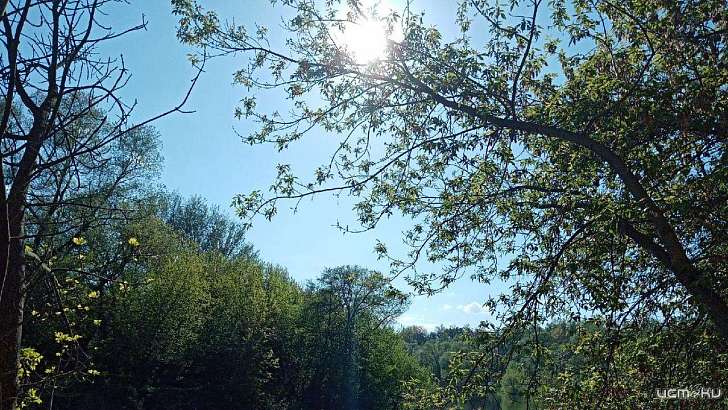 12 мая в Орле будет по-летнему жарким