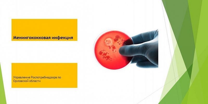 В орловском Роспотребнадзоре прокомментировали сообщения о вспышке менингита